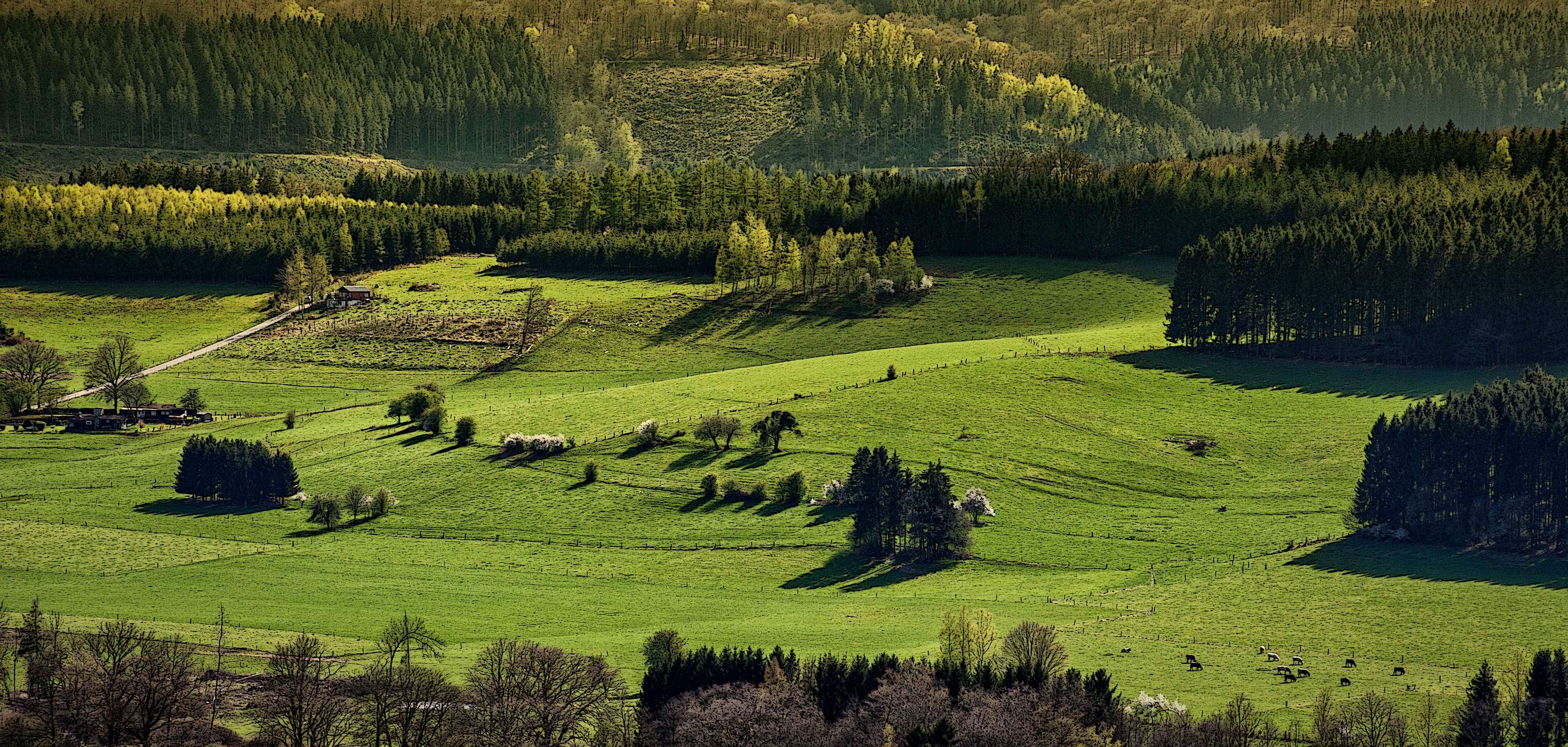 ardennen