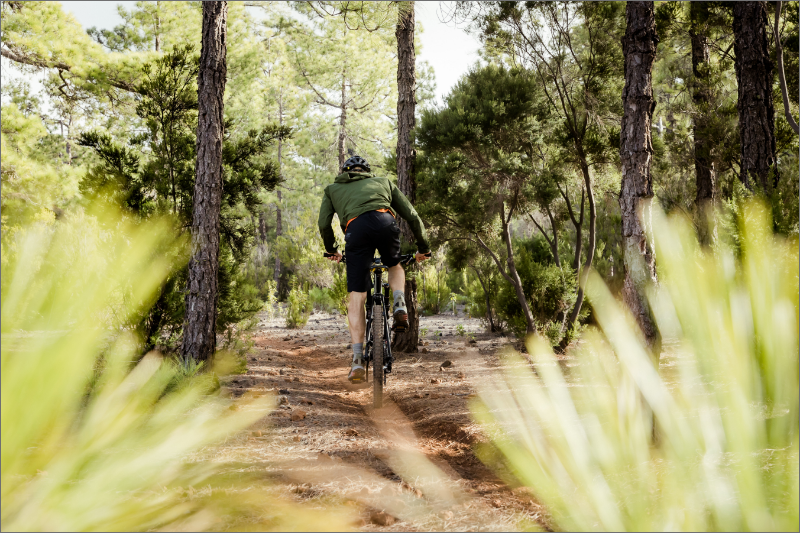 Op de mountainbike door Vlaanderen en Wallonië