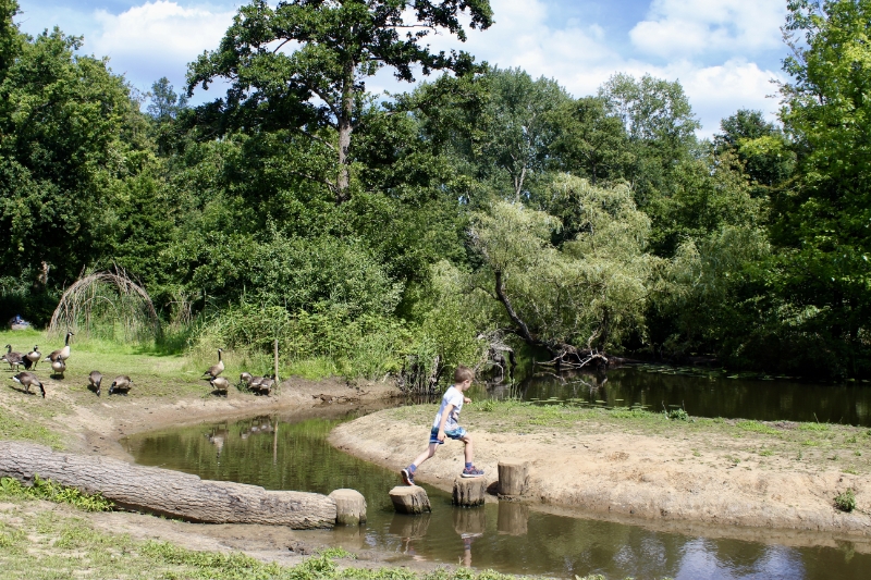 Weekendje weg met kids? 6 leuke plekken in de buurt