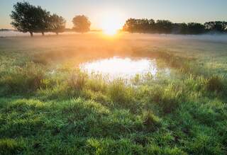 Wandelroute van A.S.Adventure en Natuurpunt in het Mechels Broek