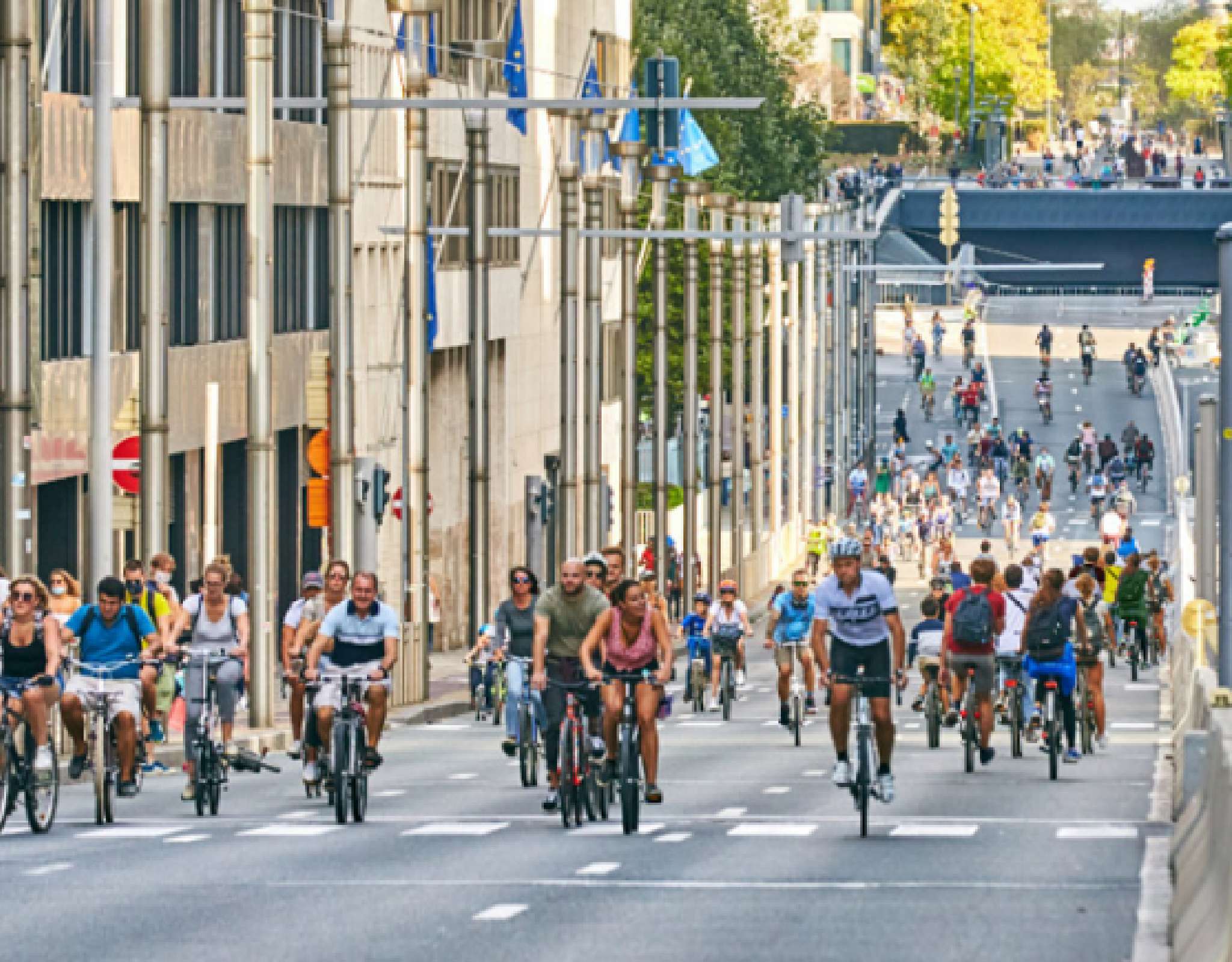 Des cyclistes dans les rues de Bruxelles