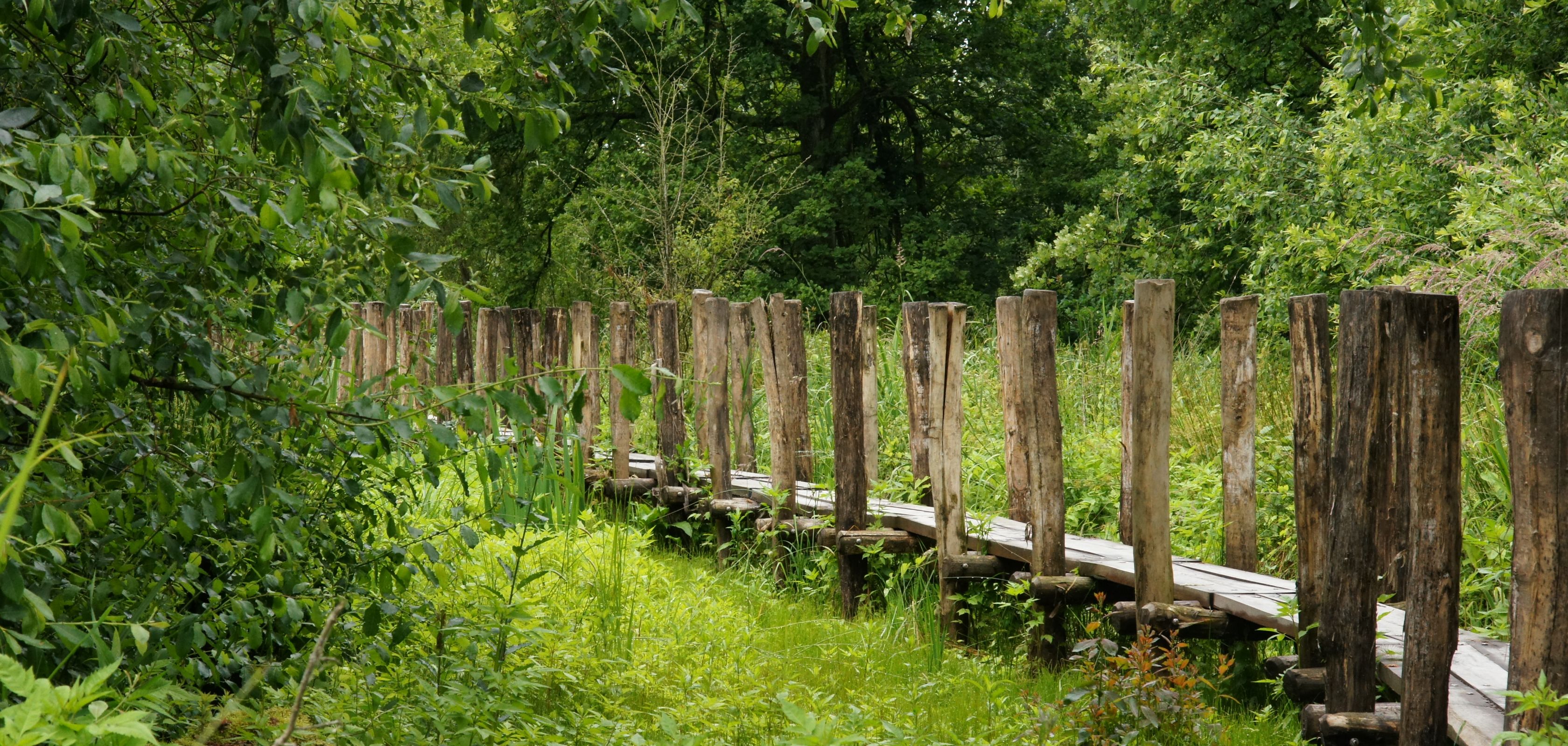 Wandeling in Geraardsbergen met een mooi vlonderpad