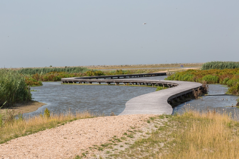 De mooiste vlonderpaden in België