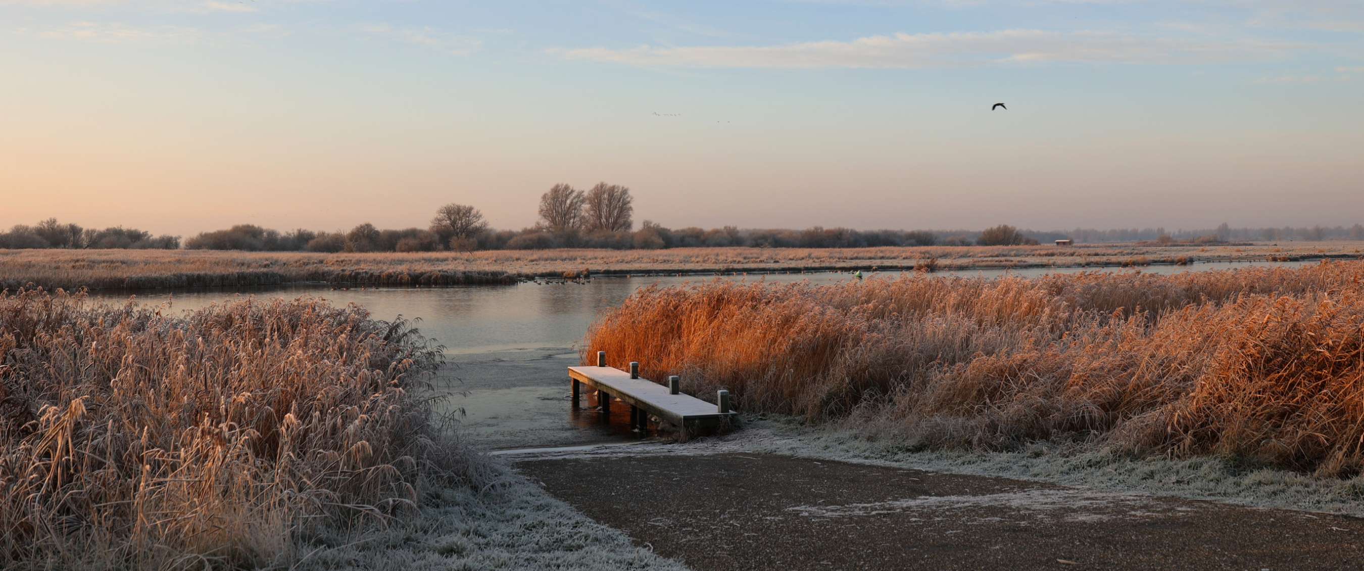 Het Lauwersmeer