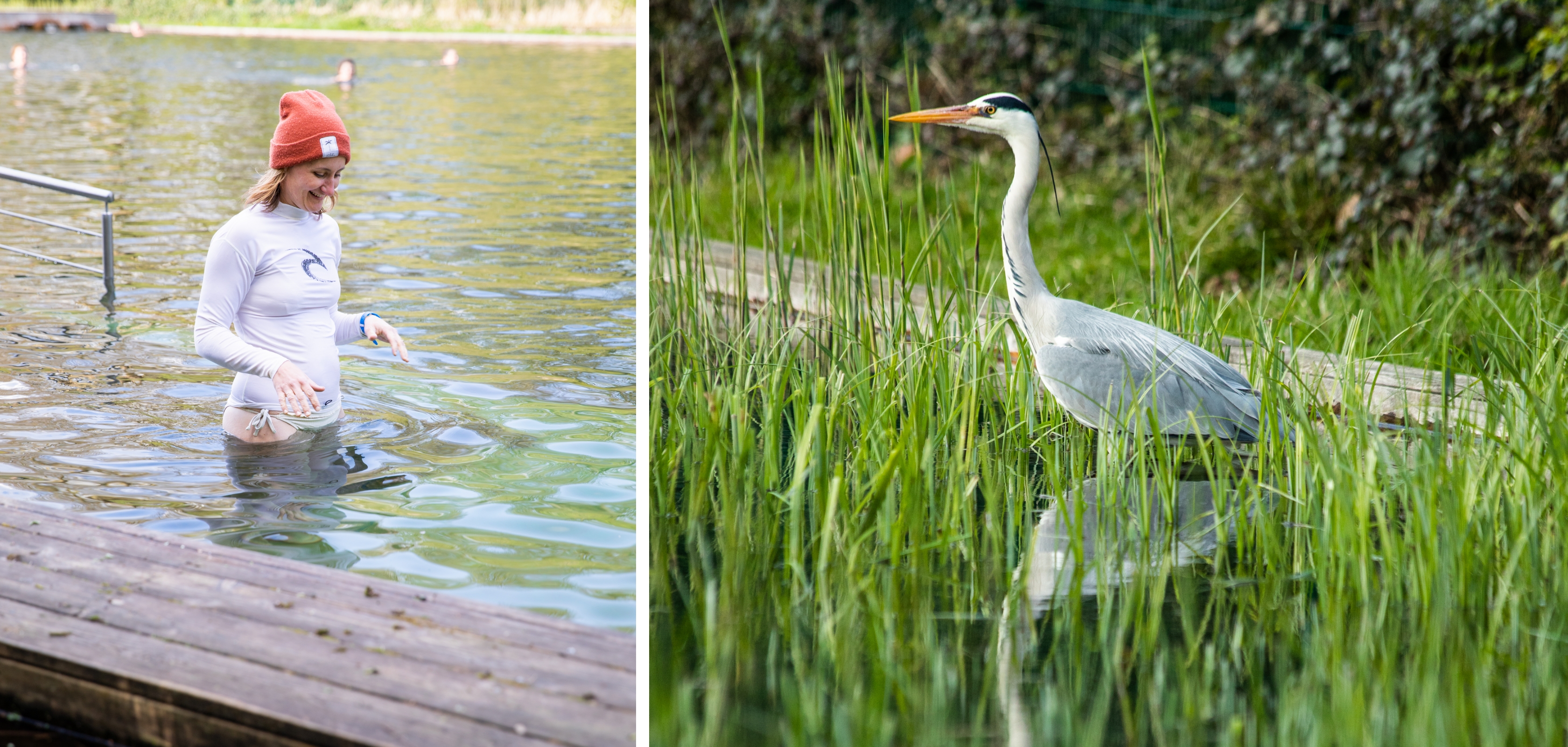 Wim Massant geniet van de natuur in de tuin