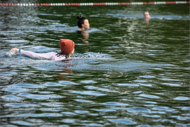 IJsberen: de kracht van koud water