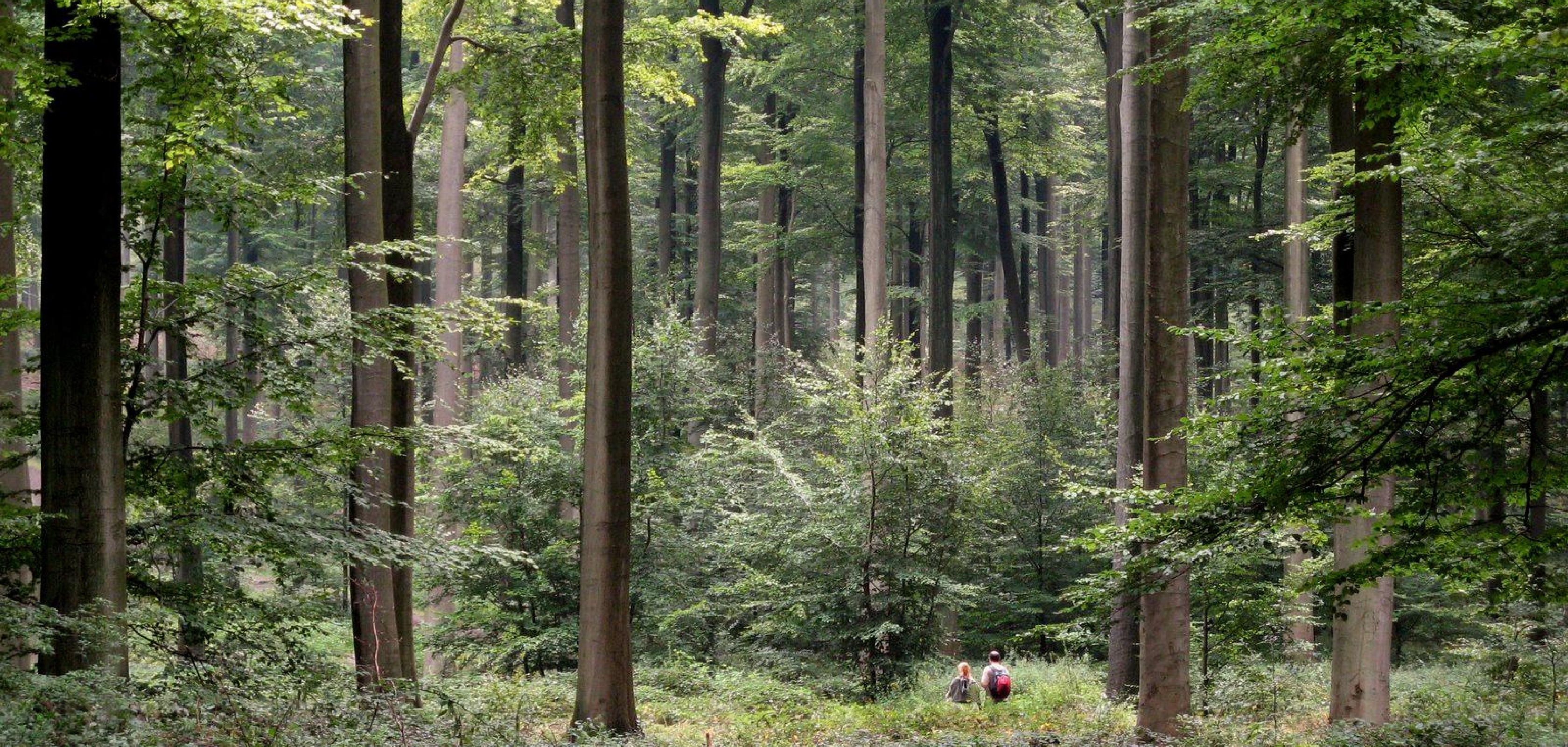 Wettersteingebergte in Oostenrijk en Duitsland om een mooie huttentocht te wandelen