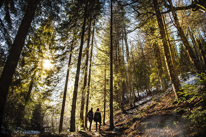 Une journée ou plus en pleine nature ? Préparez-vous pour la petite ou la grande commission. Suivez nos conseils pour les faire proprement !