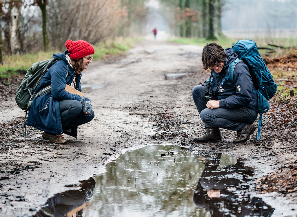 Spoorzoeken voor beginners: zo vind je sporen in de natuur