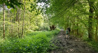 Bos t’Ename in Oudenaarde voor een mooie boswandeling in België