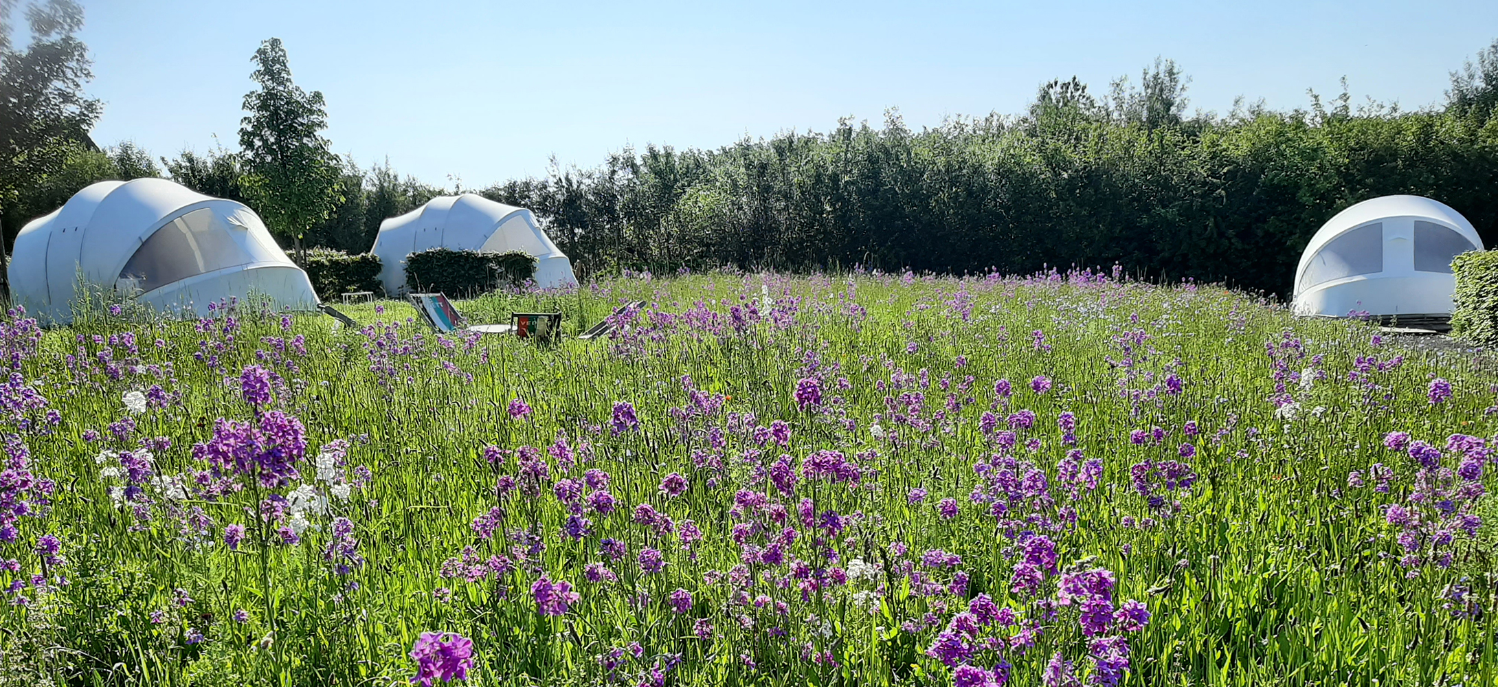 Uniek overnachten met kinderen, glamping bij Ecochique