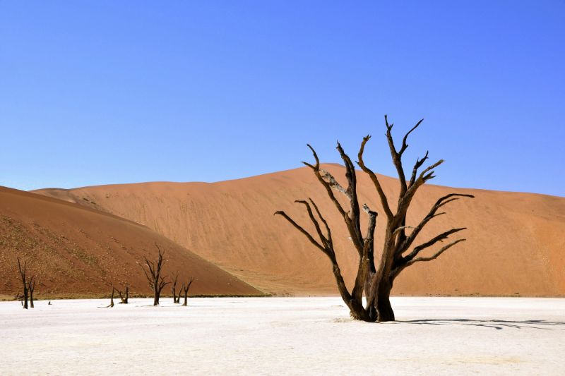 Namibië: zoveel meer dan een zee van zand