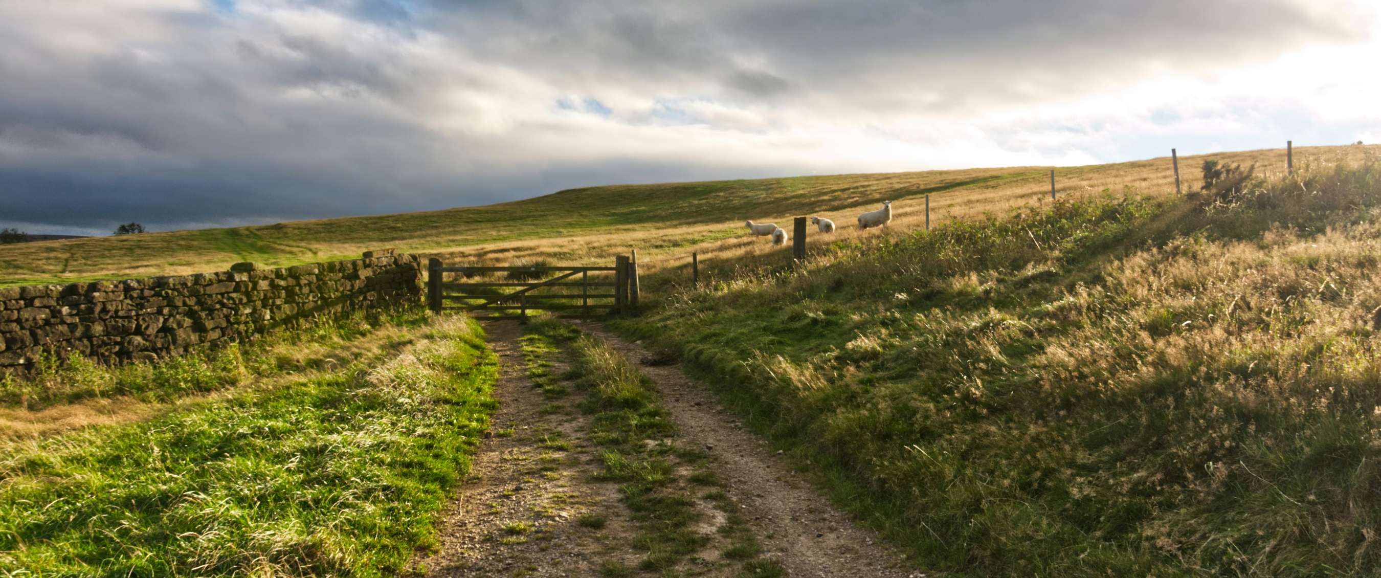 North York Moors