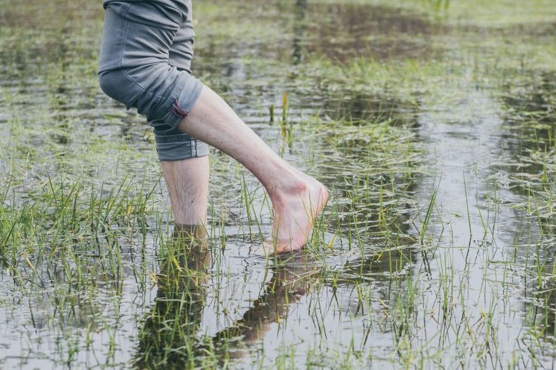 Bosbaden: wat is het en hoe doe je dat?