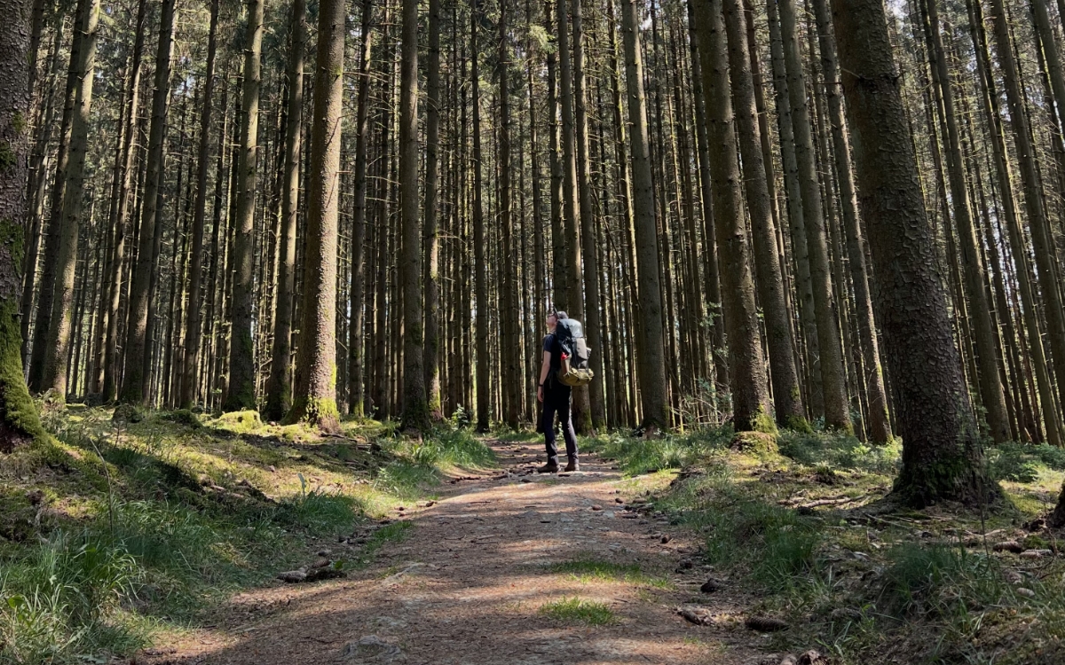 De favoriete plek in de natuur van bioloog Wim Massant in zijn tuin