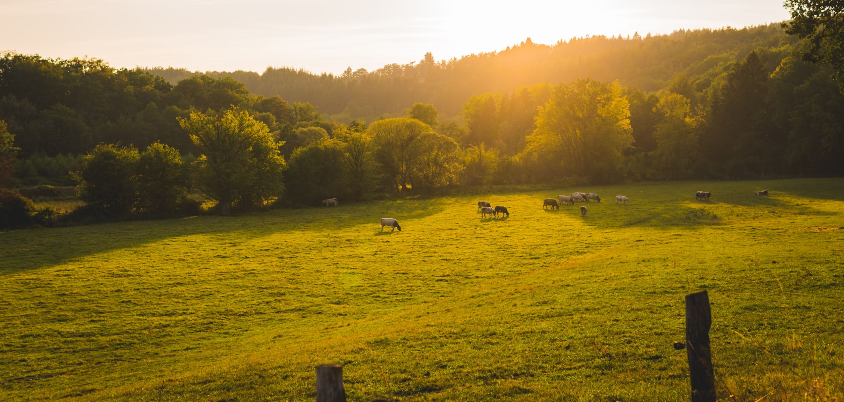 De GR129, een mooie trektocht in België