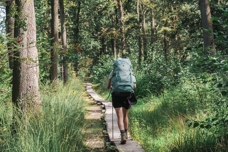 De mooiste wandelingen in België