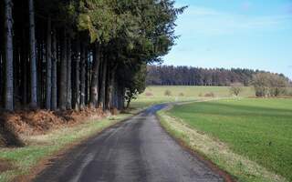 Een van de mooiste wandelingen in de Ardennen met geocaching in Bastogne