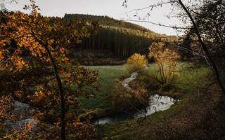 Een van de mooiste wandelingen in de Ardennen de Eislek Trail