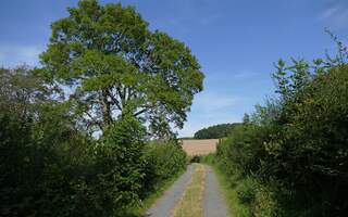 Een van de mooiste wandelingen in de Ardennen The Freedom Trail