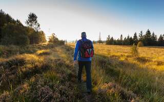 Een van de mooiste wandelingen in de Ardennen in de Hoge Venen