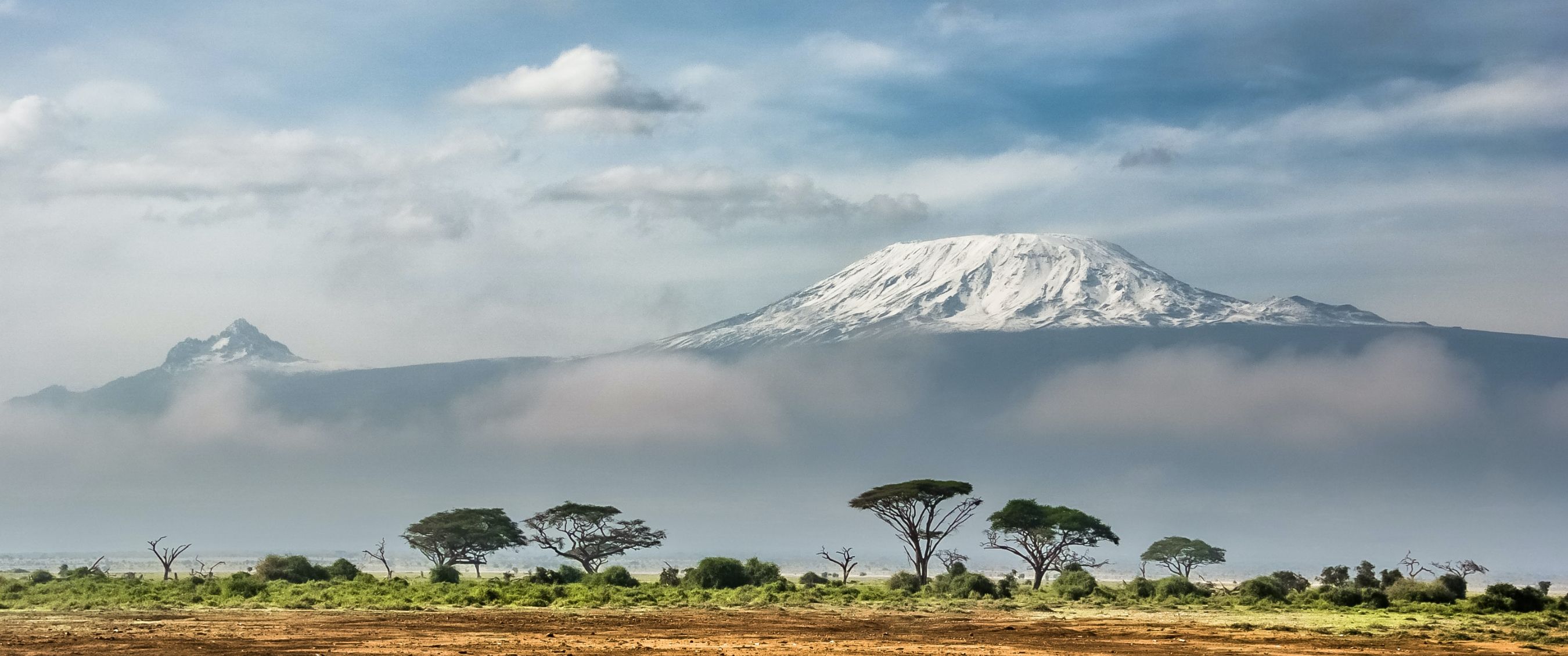 Kilimanjaro