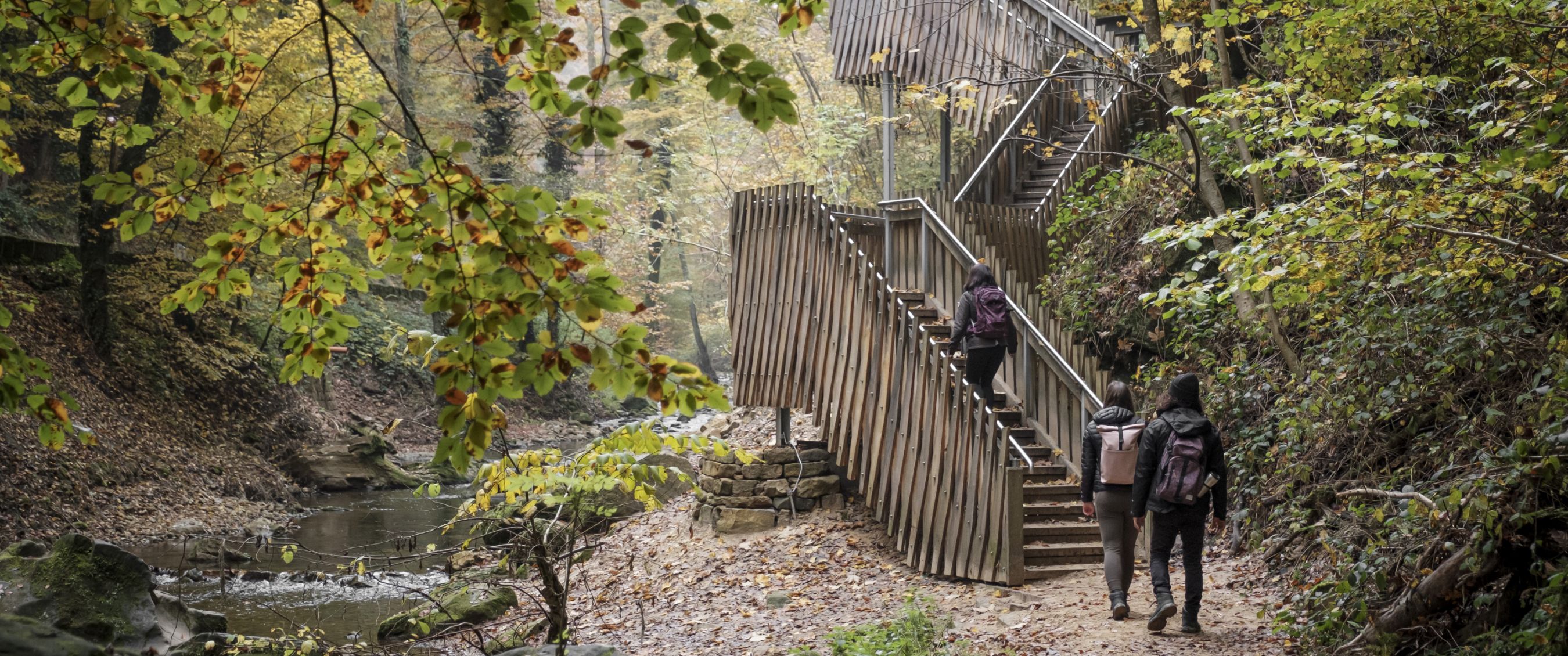 Mullerthal Trail