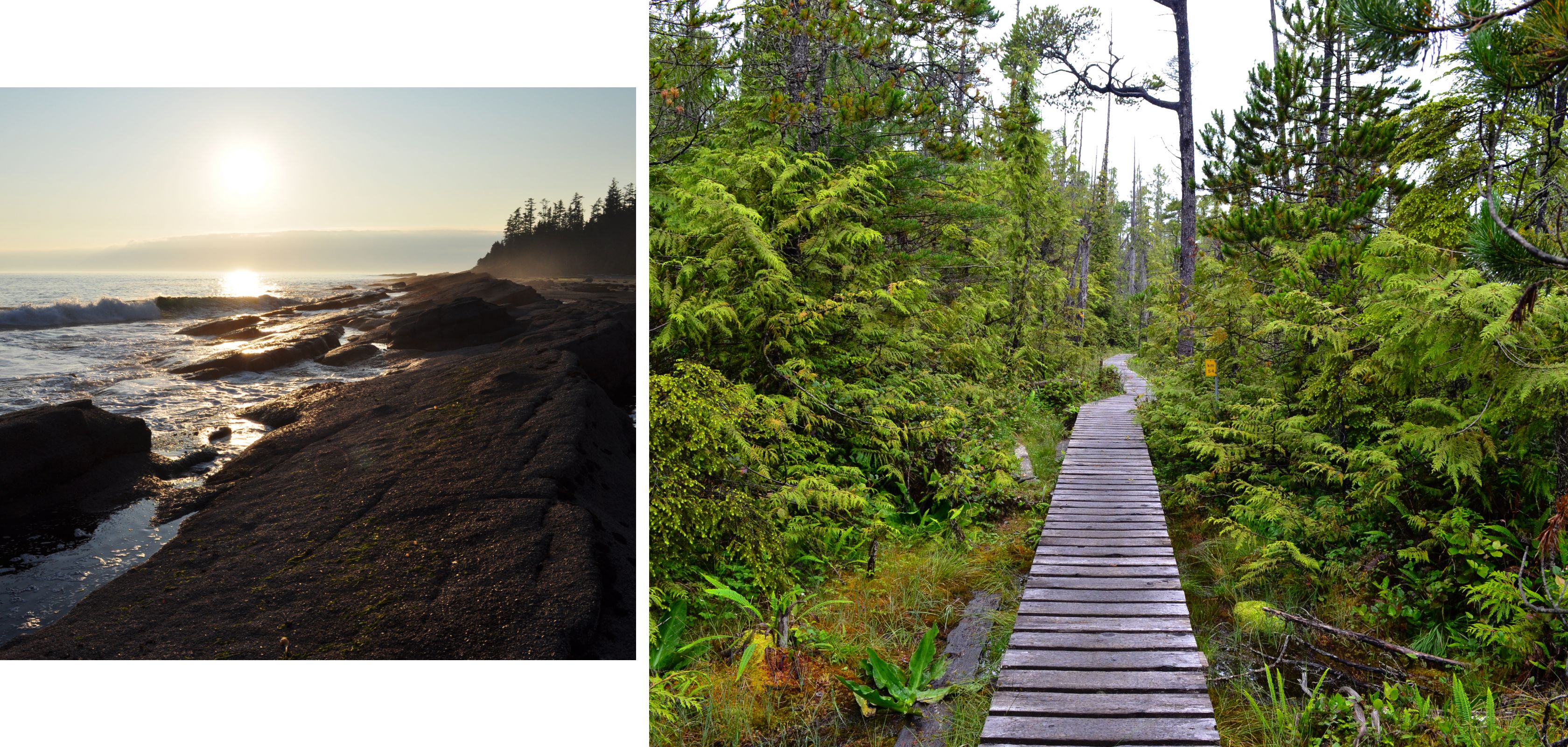 West Coast Trail