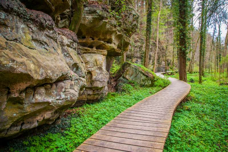 Mullerthal Trail : randonnée féérique au Luxembourg