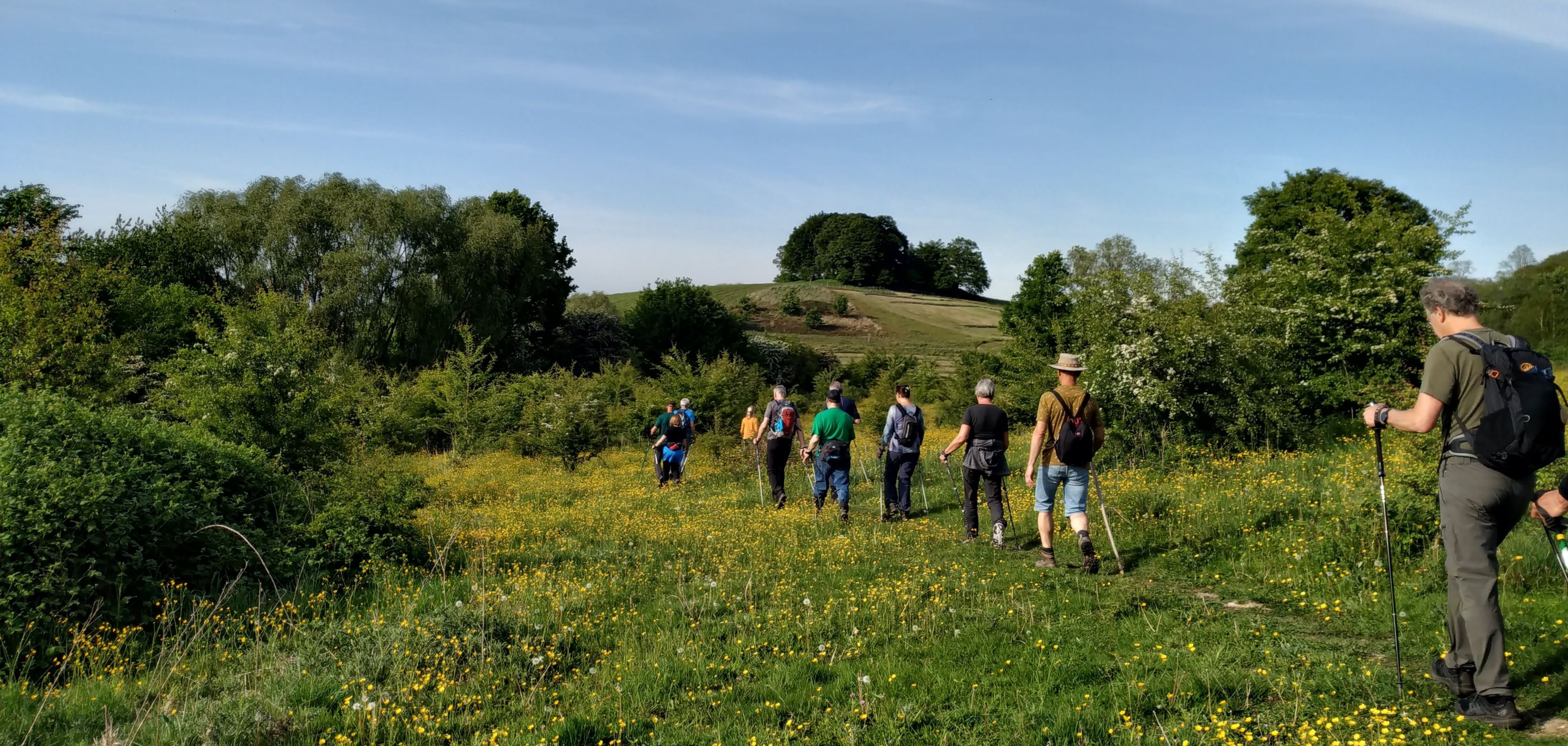 Nordic wandelstokken om te nordic wandelen