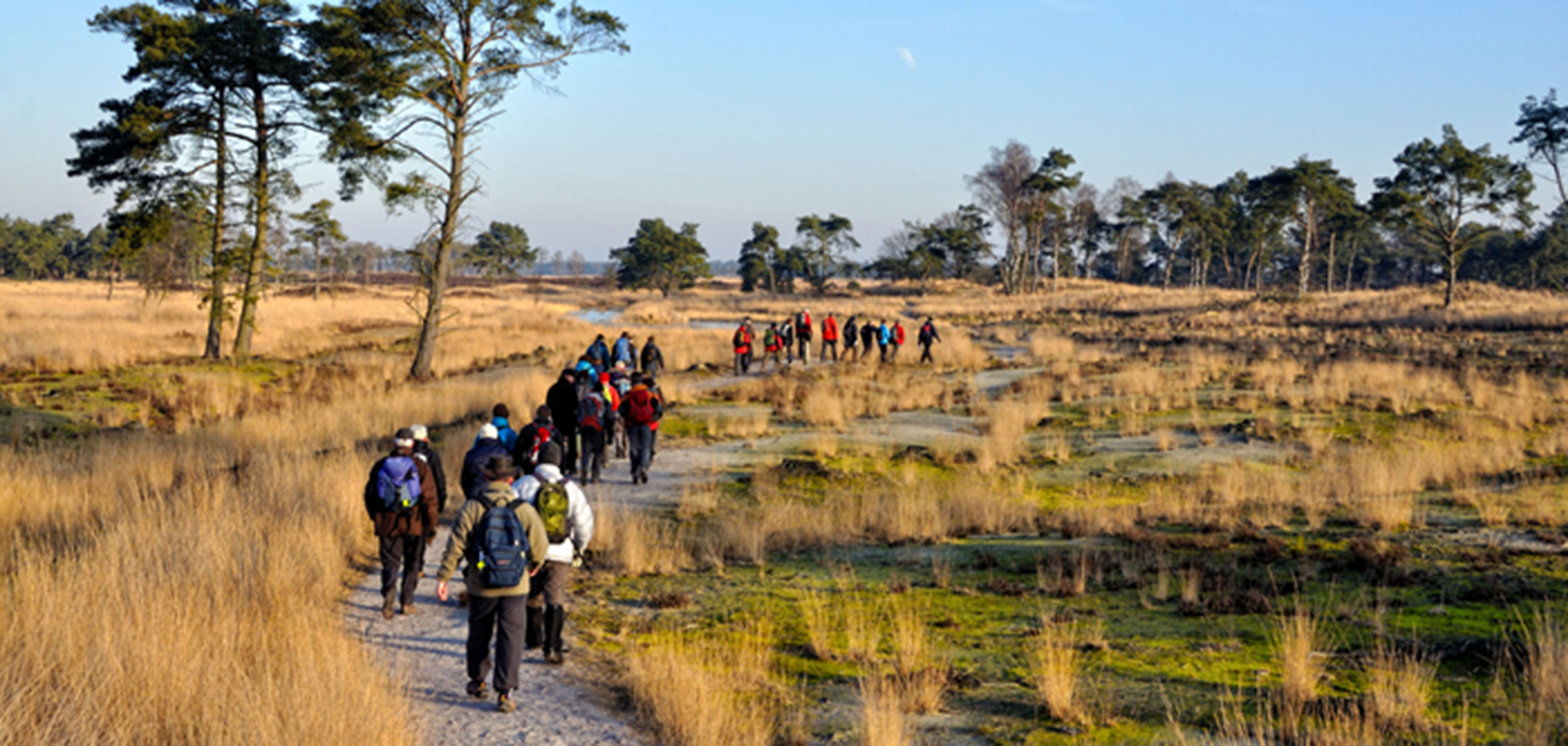 Treinstapper op de GR 5 van Essen naar Heide