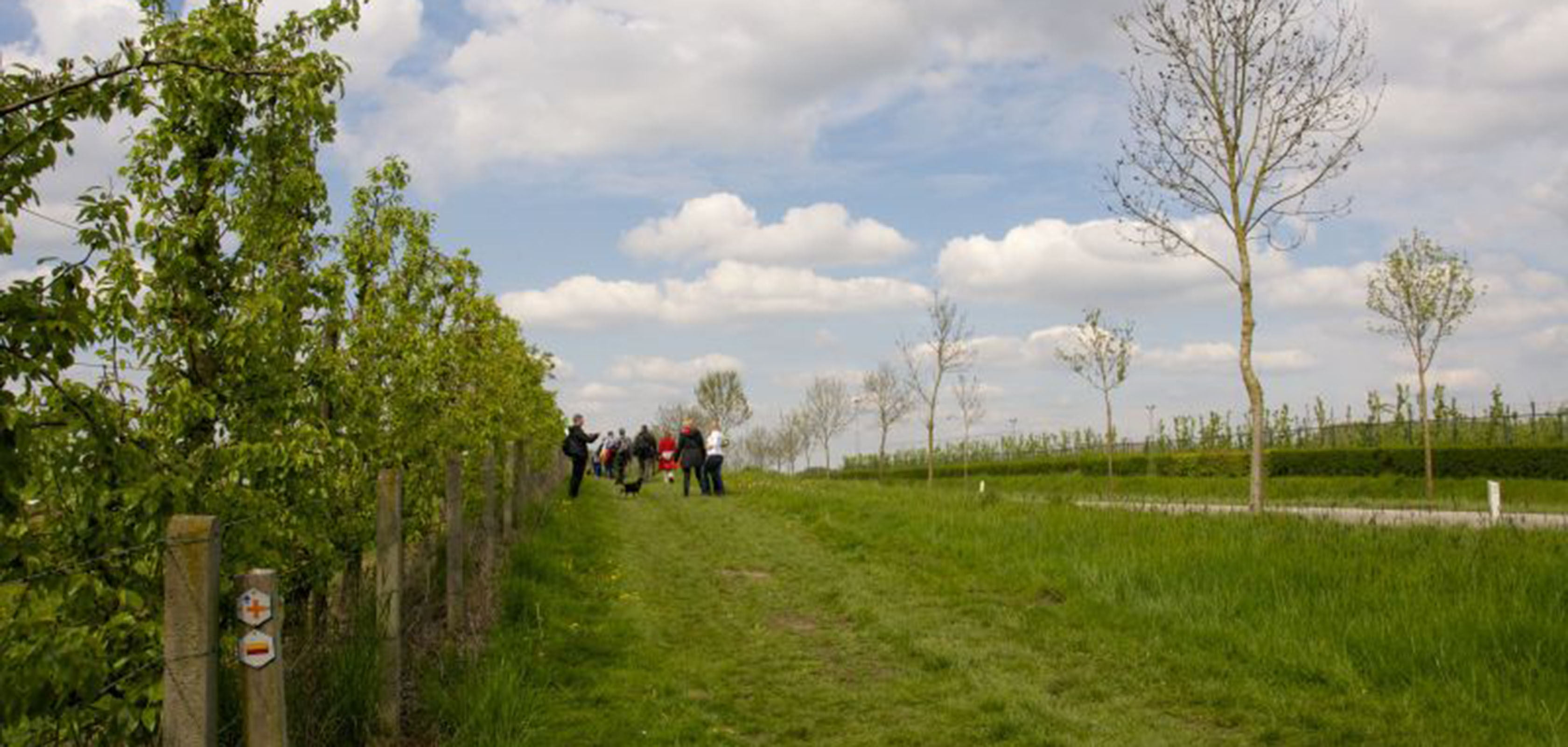 Treinstapper op de GR 128 van Alken naar Sint-Truiden