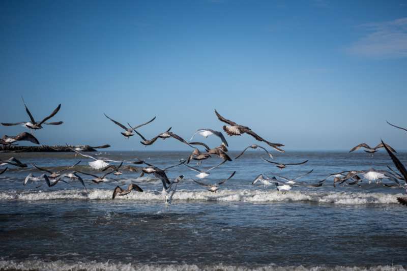 Wandelen aan zee: frisse inspiratie