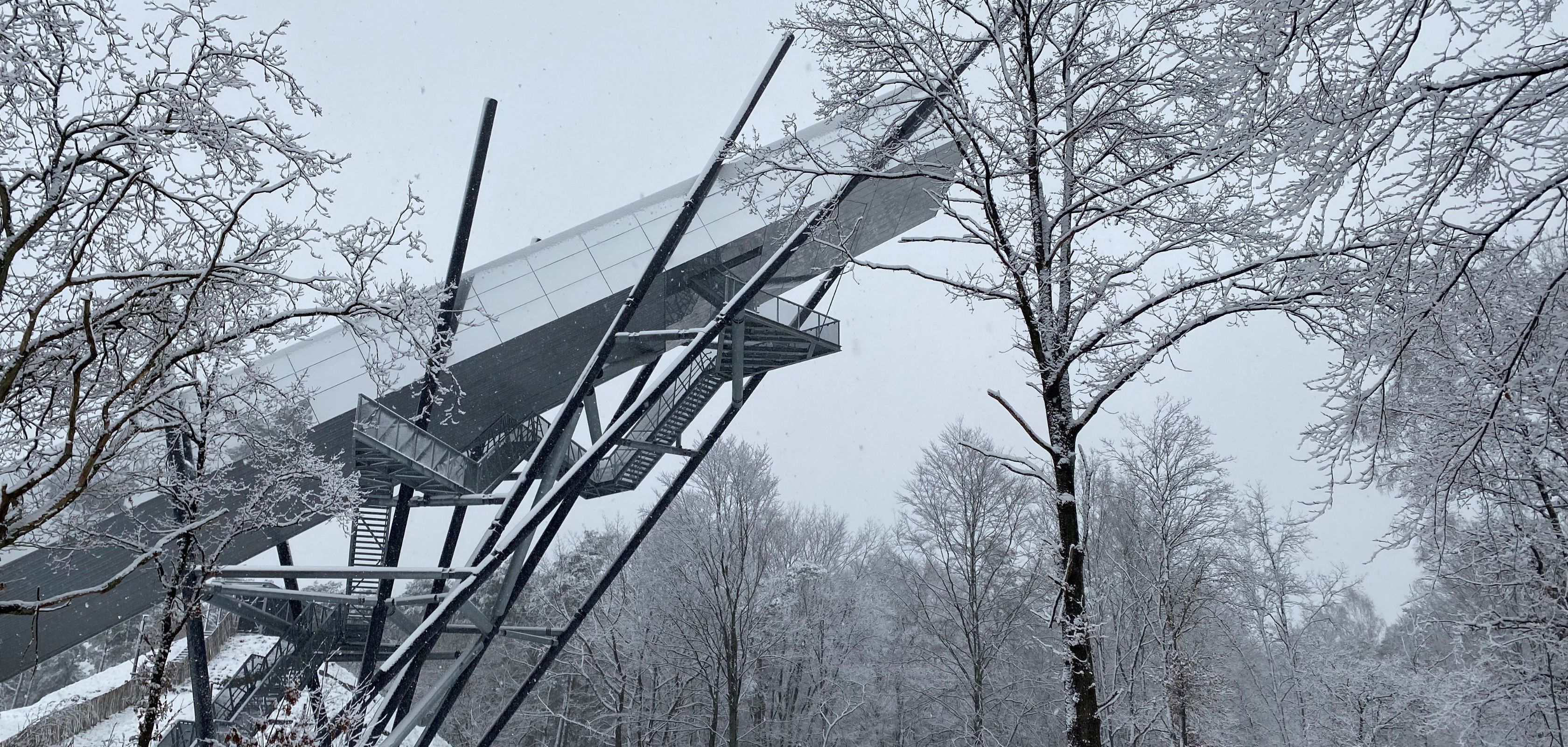 De bliksemtrap in het Nationaal Park Hoge Kempen & vrouw doet een sneeuwwandeling met haar hond in België