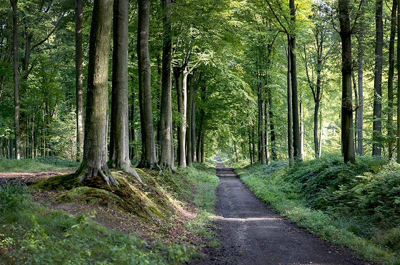 Wandelroutes in de kijker