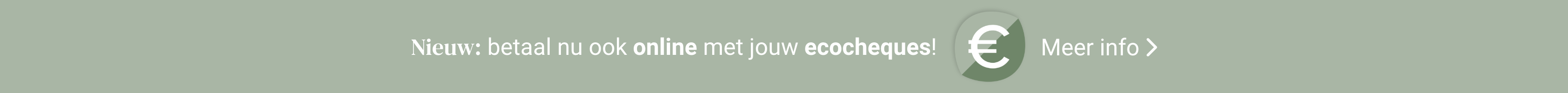 Nieuw: Betaal nu ook online met jouw ecocheques!